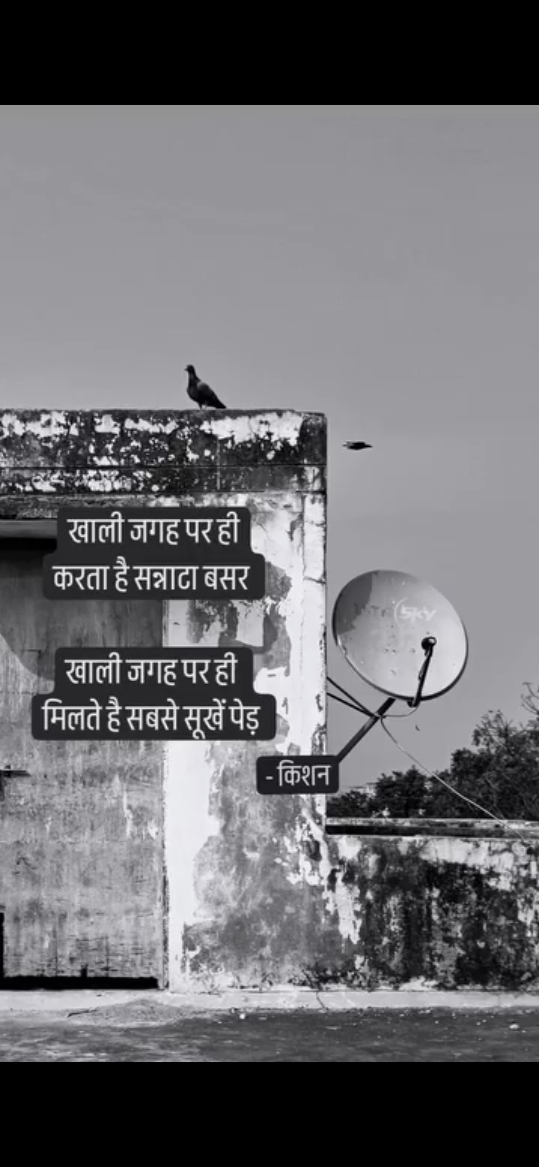 खाली जगह पर ही करता है सन्नाटा बसर।'s image