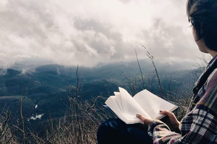 कविता's image