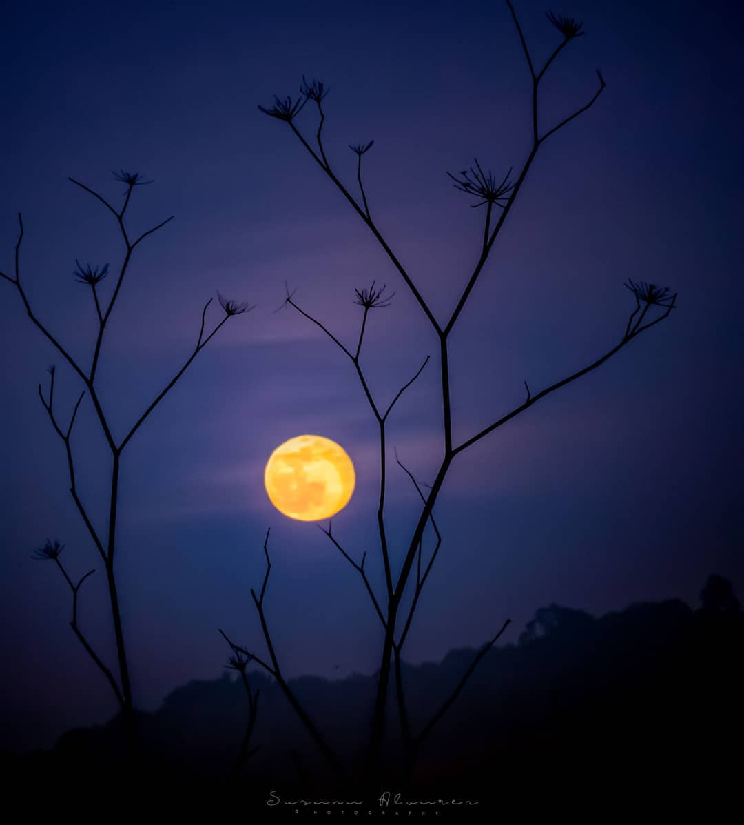 चाँद और तुम
