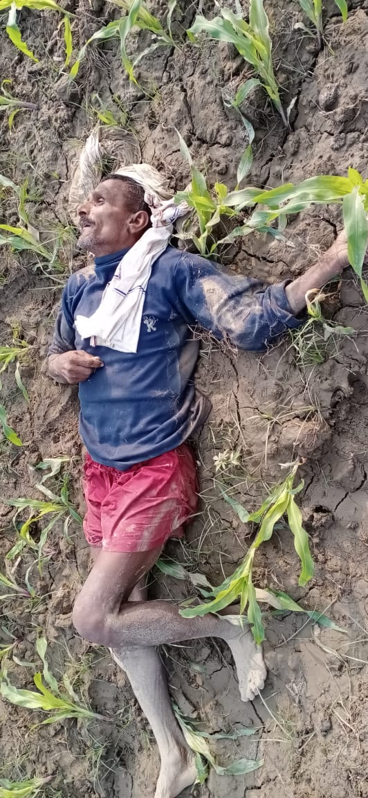 अन्नदाता