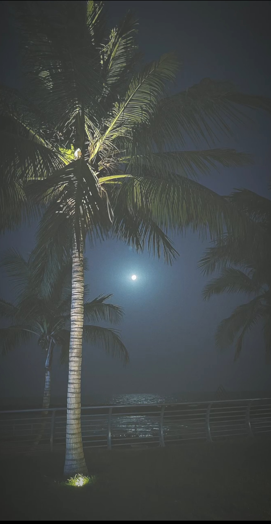 पंक्ति's image