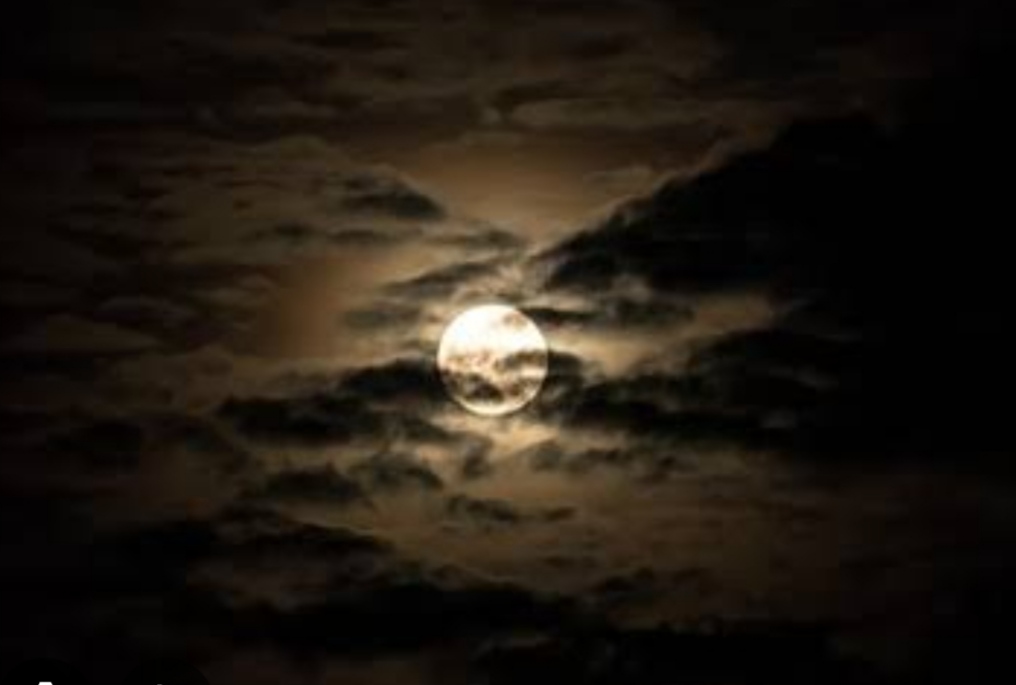 शेर....'s image