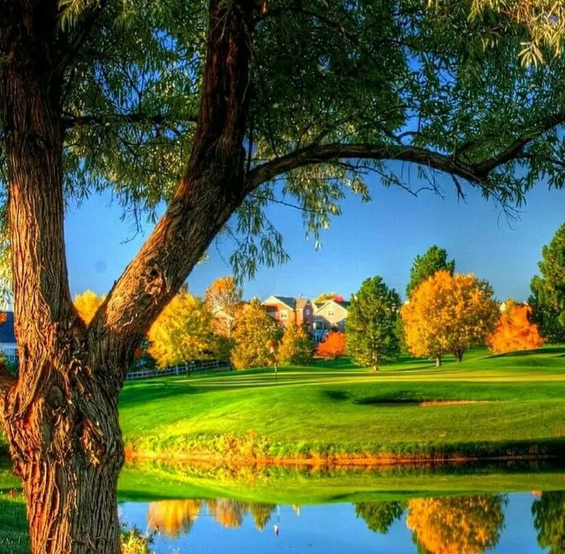 दयना's image