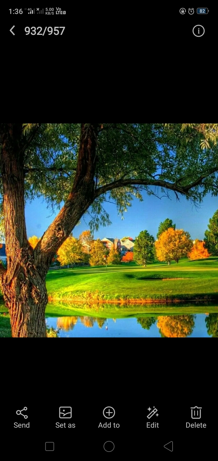 नज़रो का धोखा.....'s image