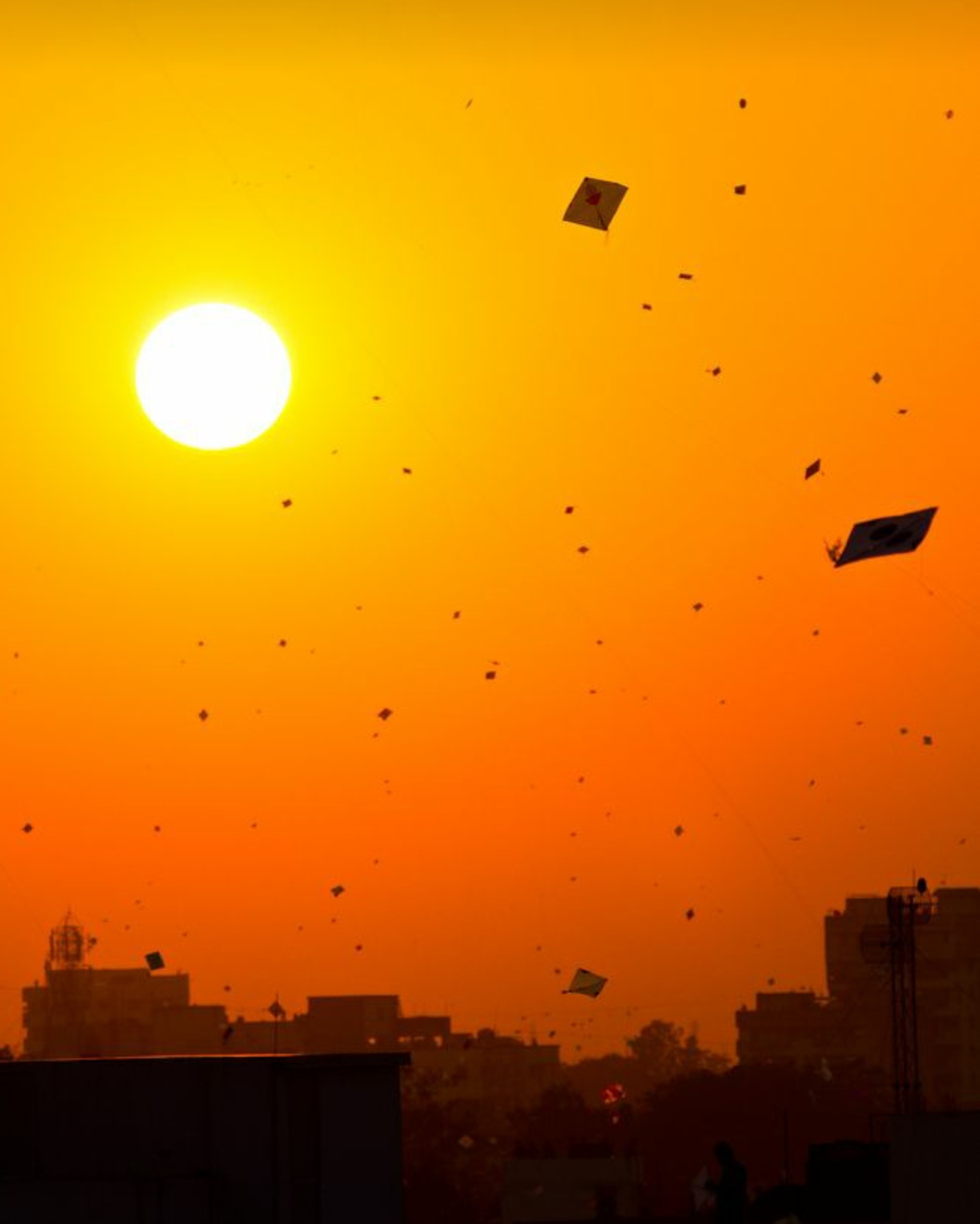 डोर और पतंग's image