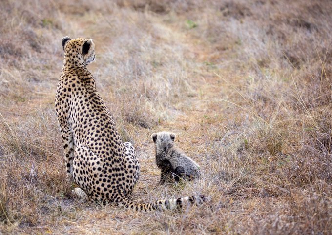 एक सफ़र था जो मैं तय कर आयी's image