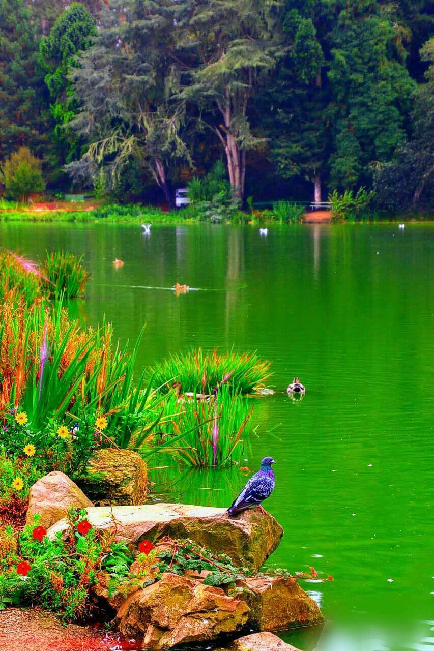 गुनगुनी धूप's image