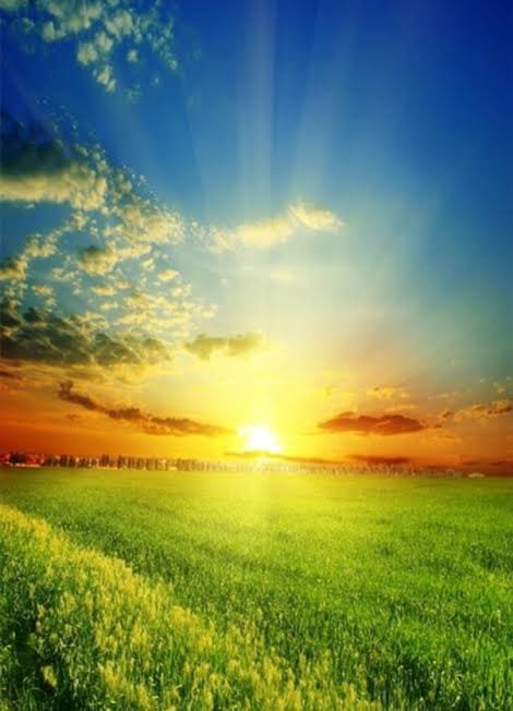 जीवन बसंत's image