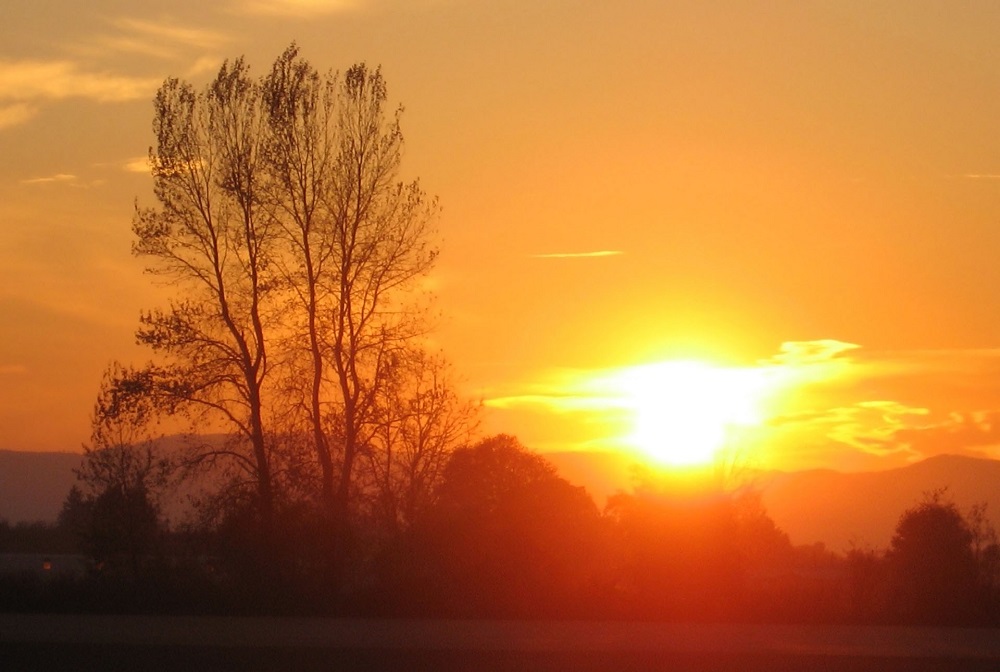 दिग्भ्रमित's image