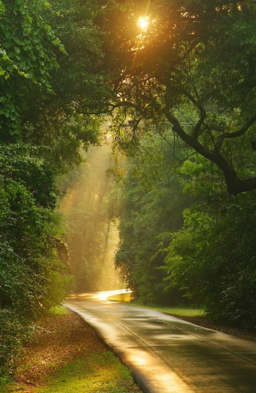 व्यवधान's image