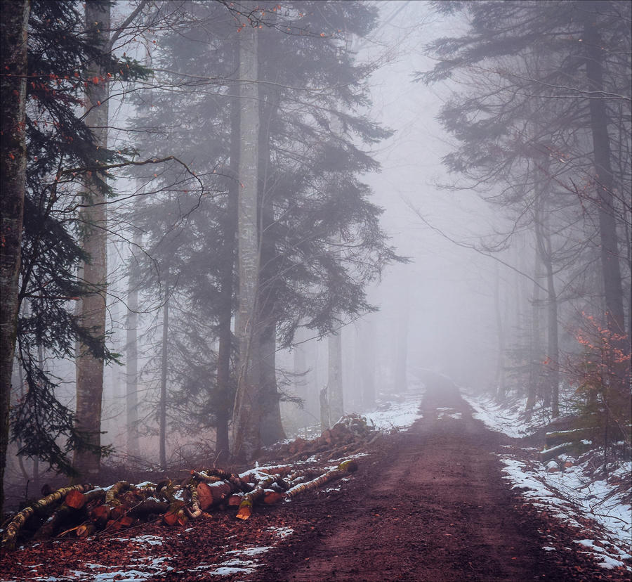 घुमाव's image