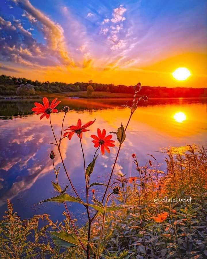 मेहमान's image