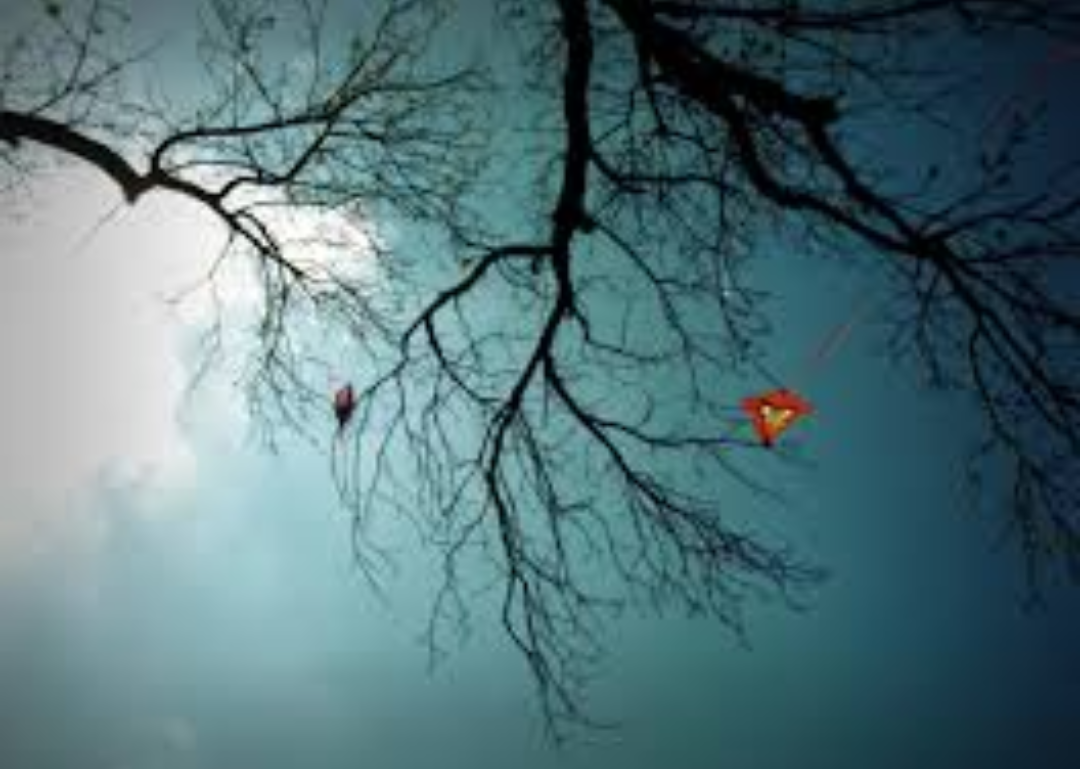 कटी पतंग's image