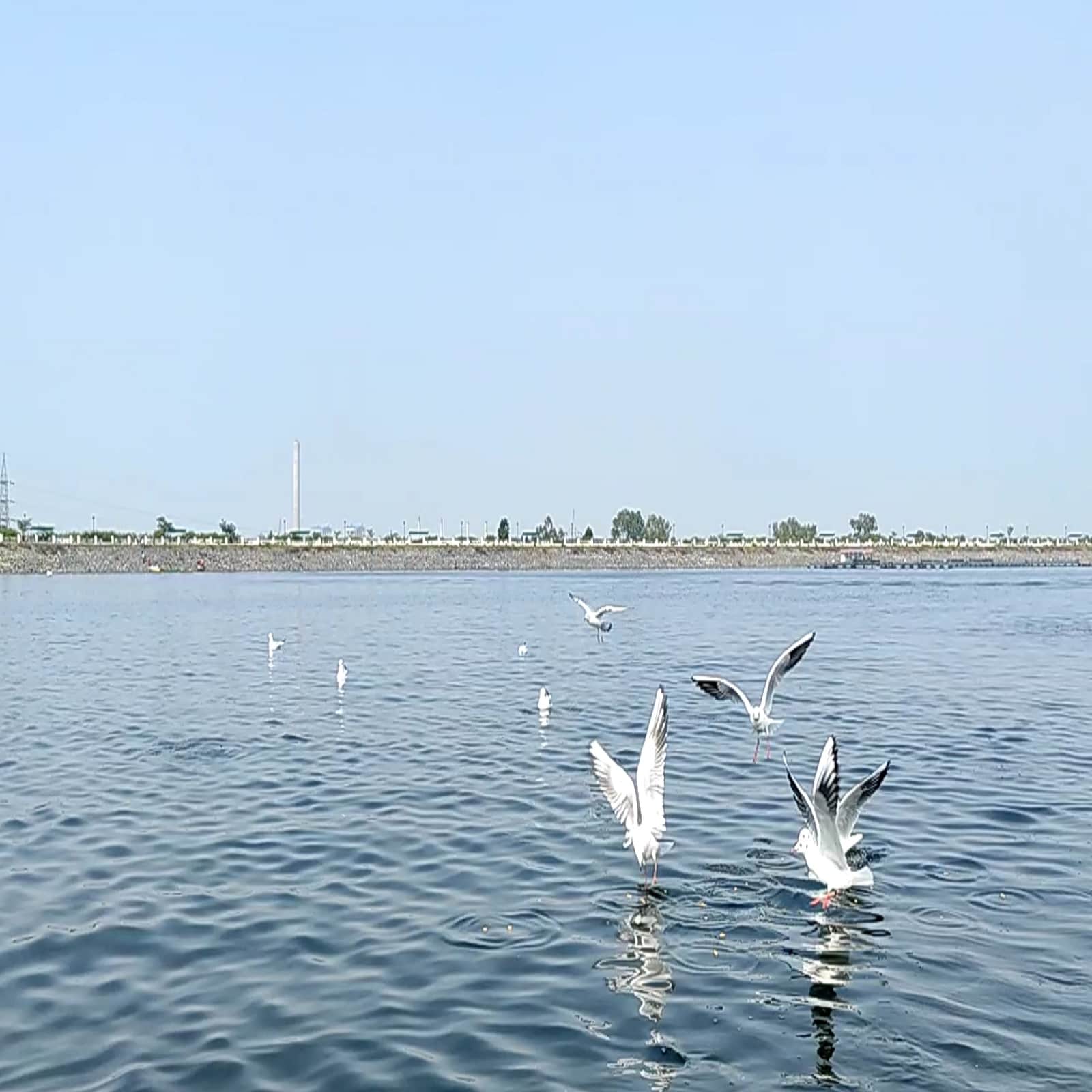 आगोश's image