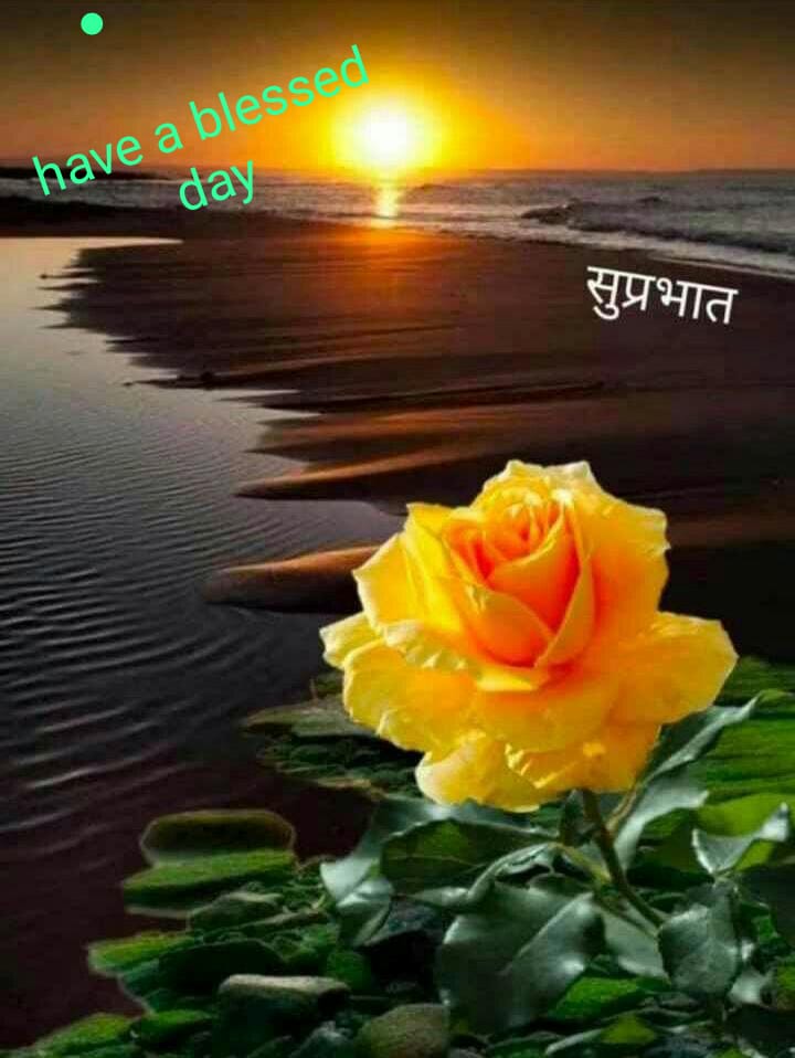 आशा की किरण's image