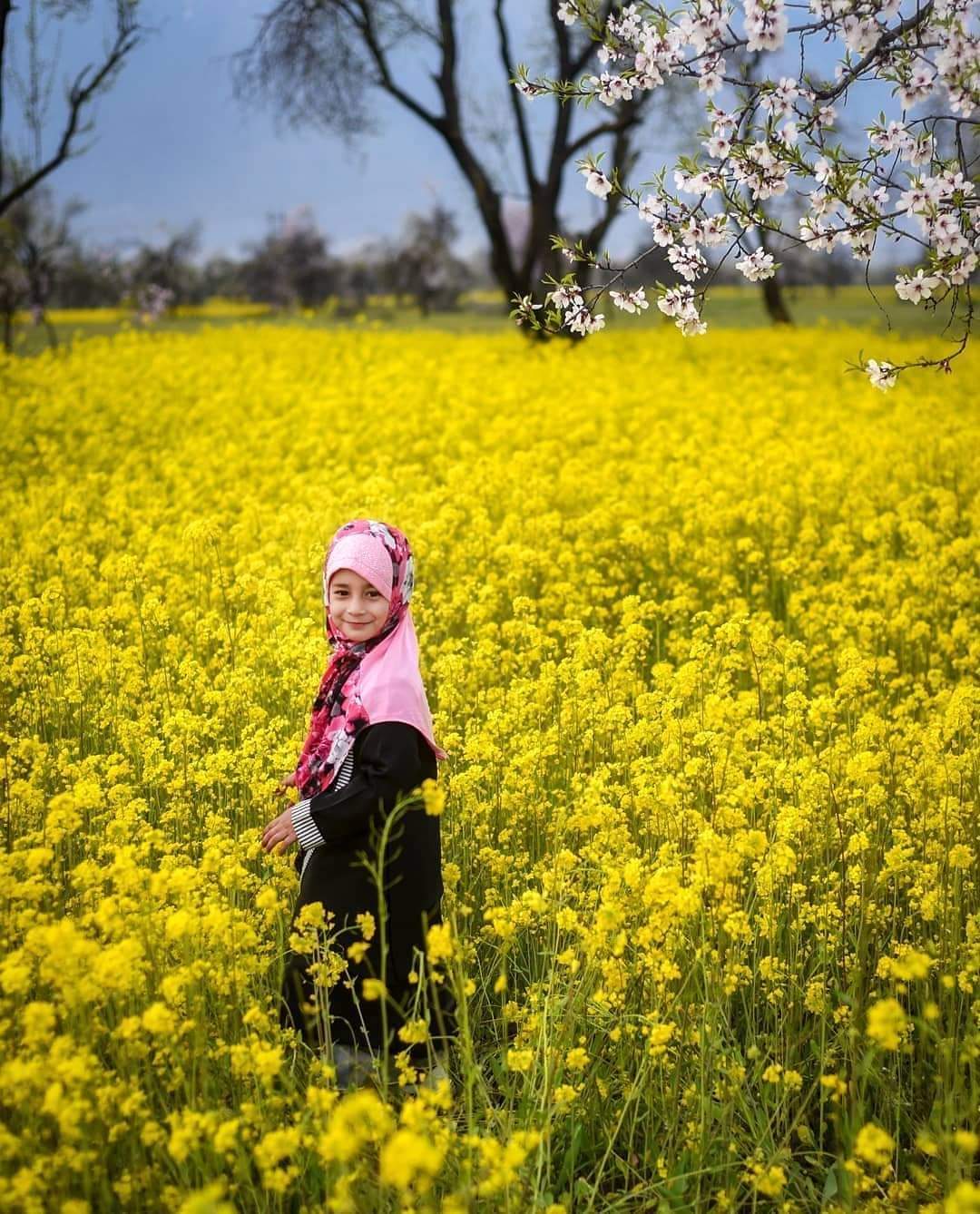 बसंत's image