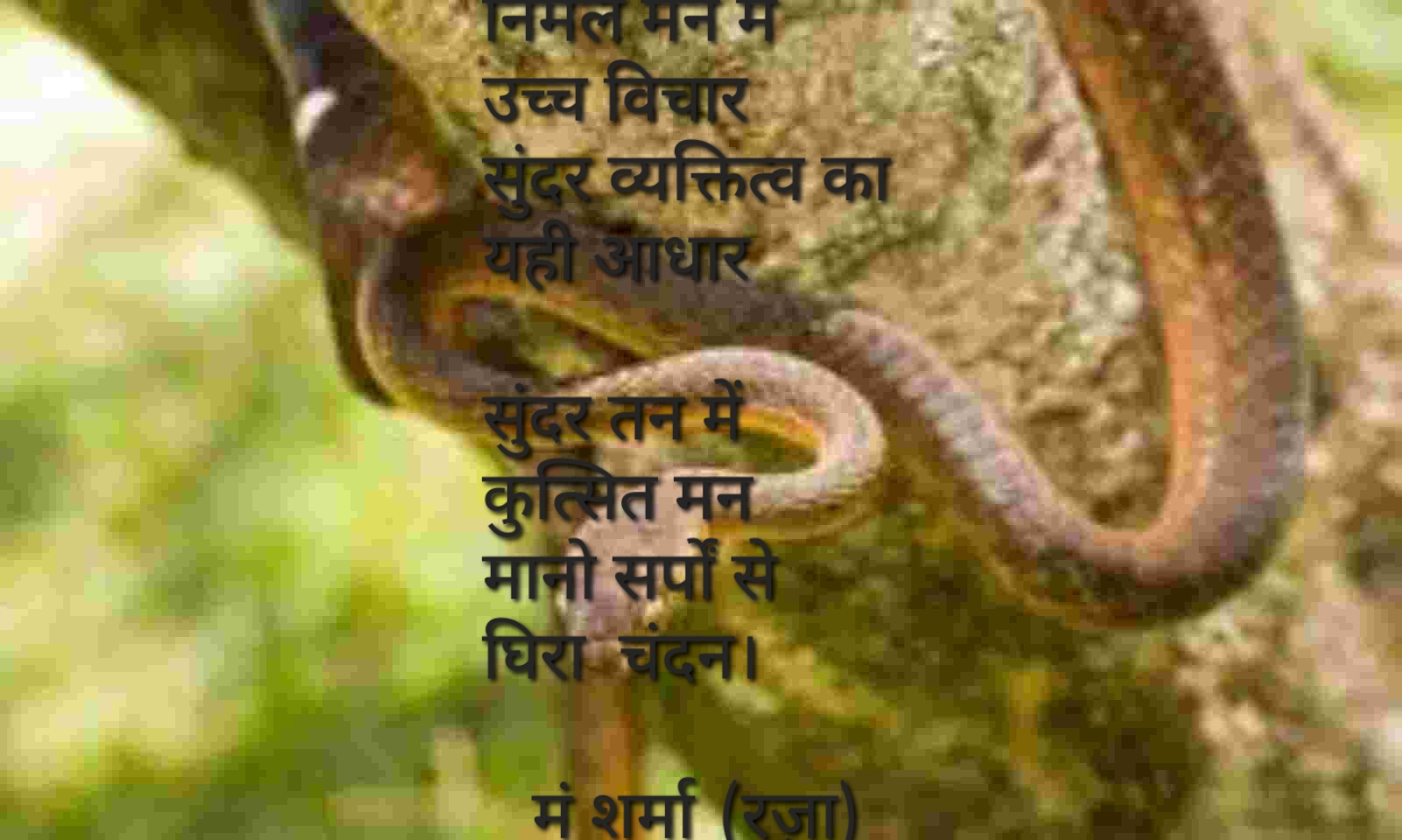 चंदन's image