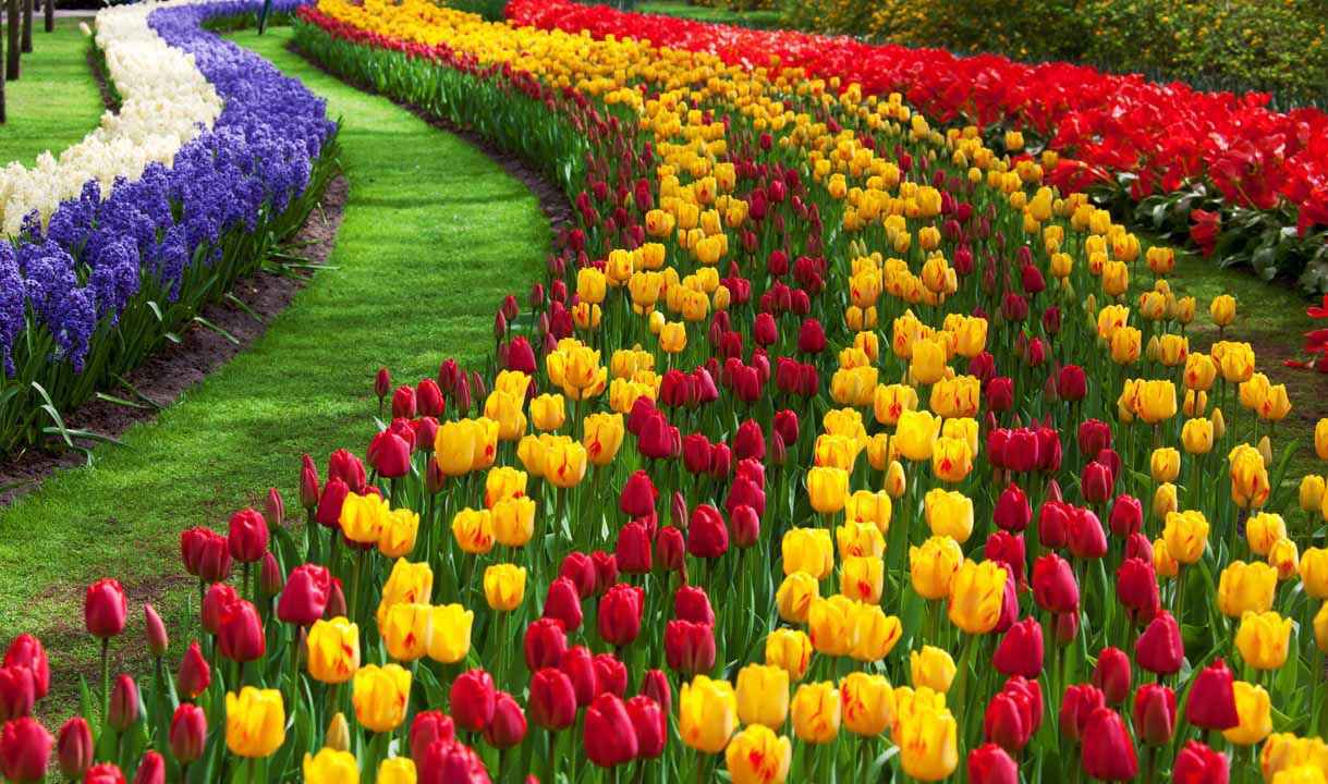 सावन's image