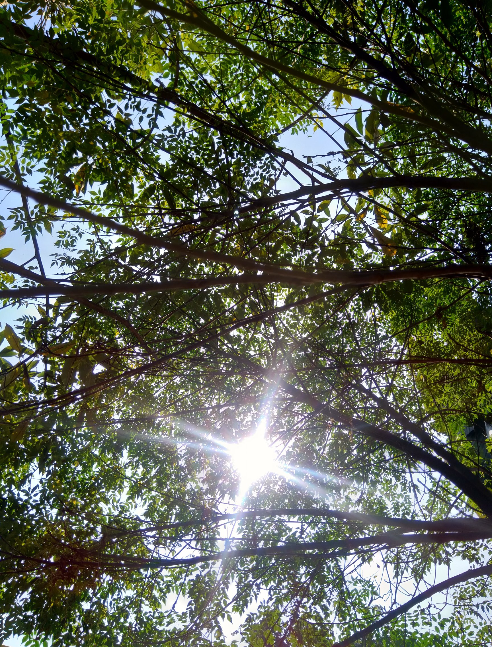 दिन रात's image