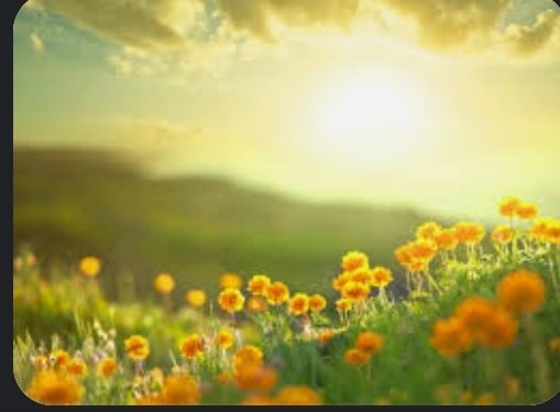 प्रकृति's image