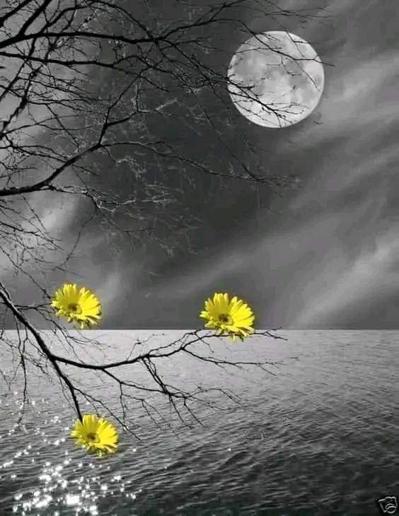 सन्नाटा's image