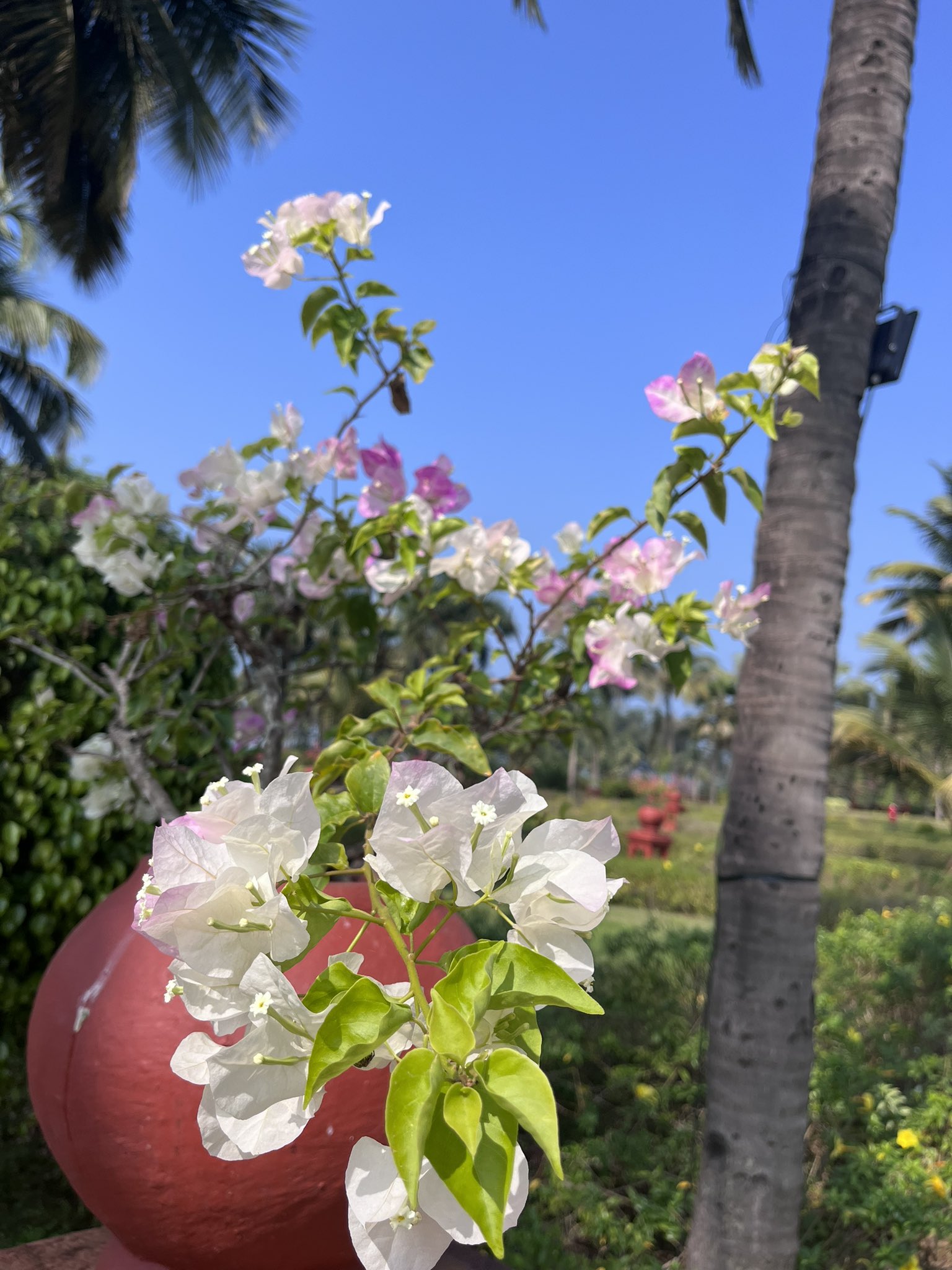 अक्सर's image