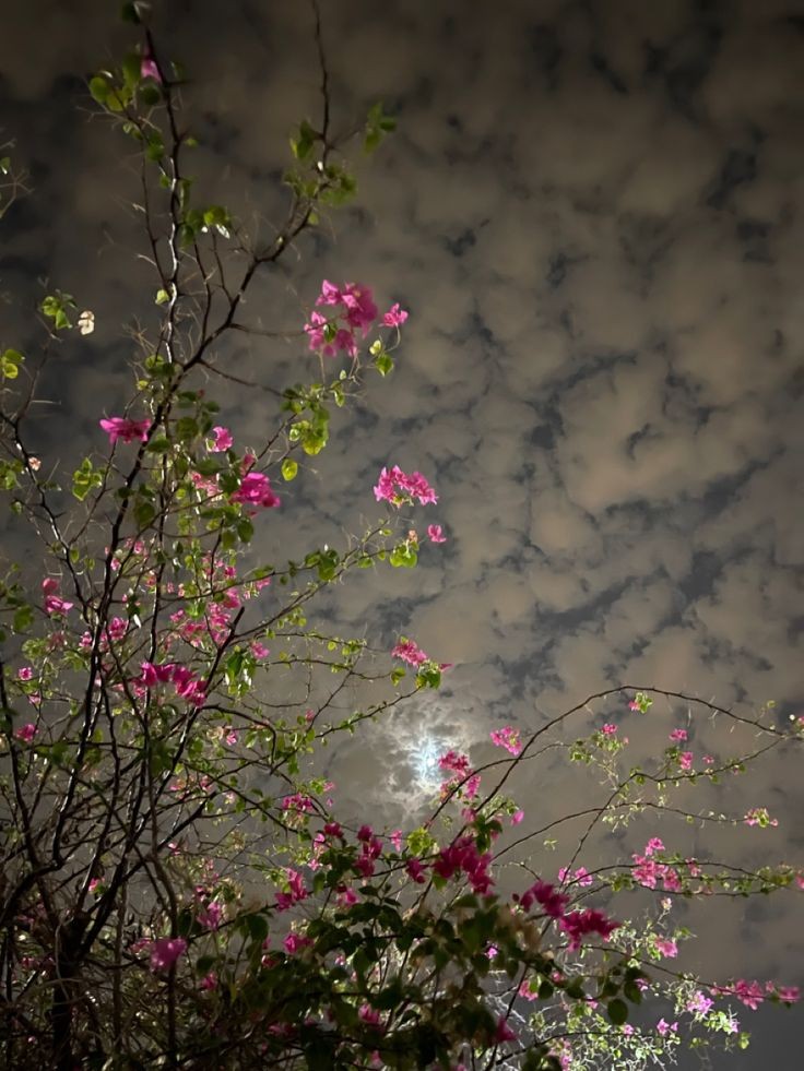 संघर्ष's image