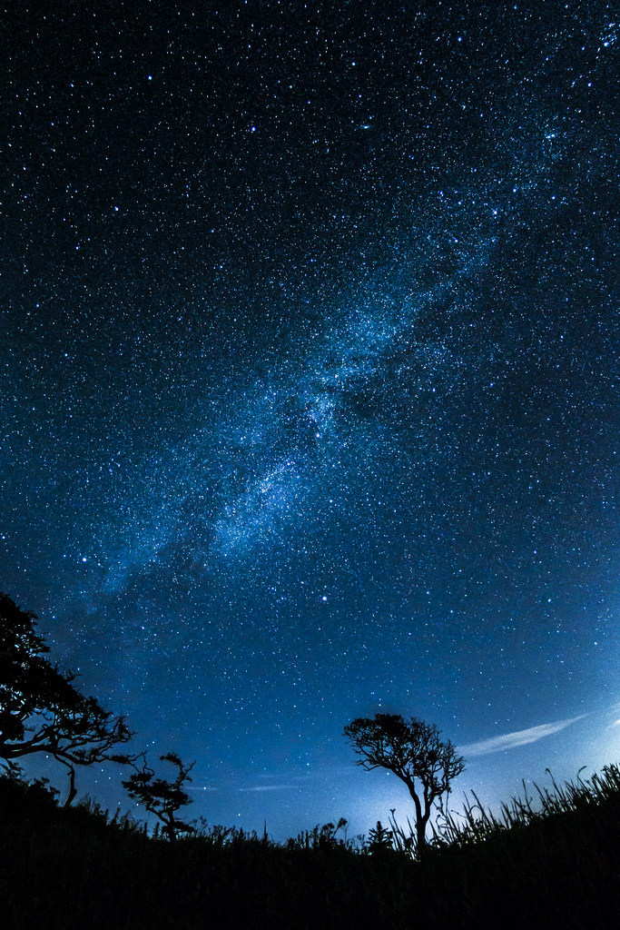 नींद क्या है's image