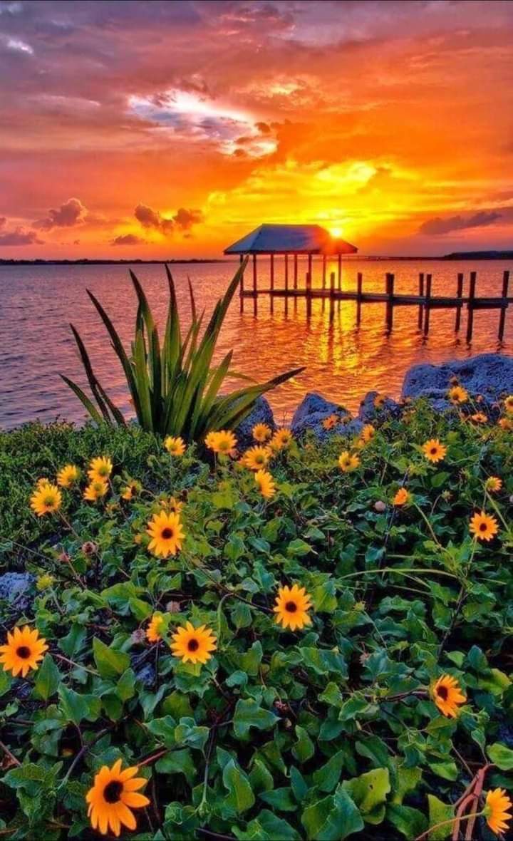 जन्नत's image