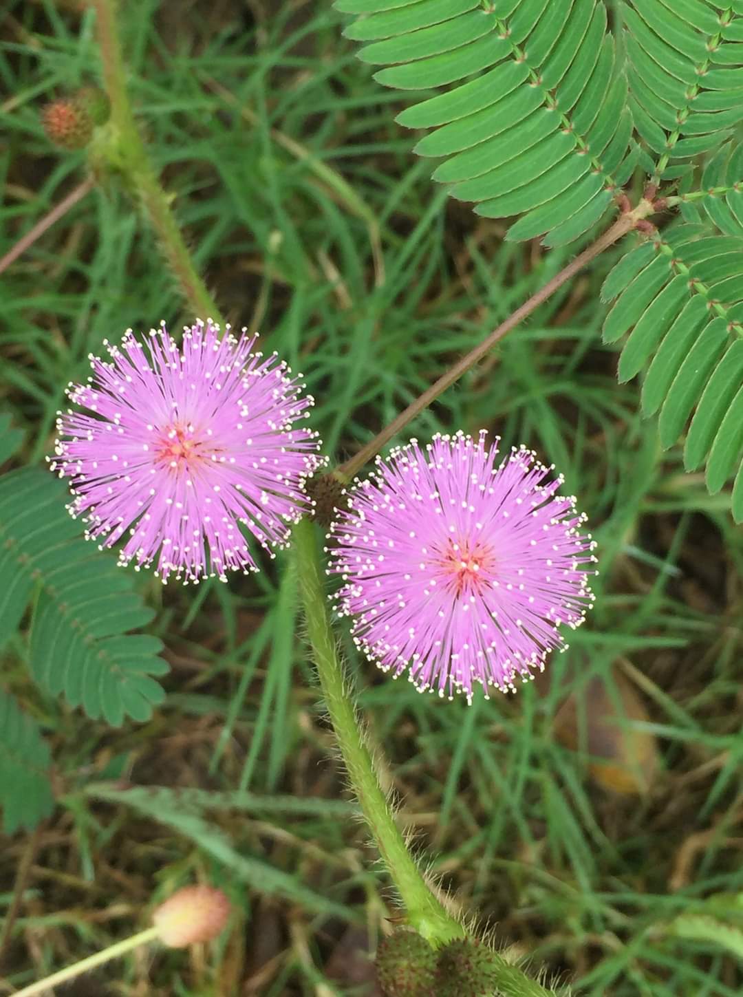 रिश्ते's image