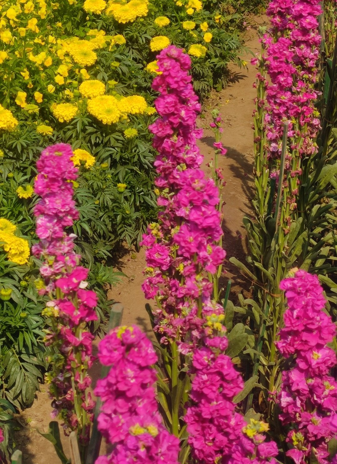 कुछ कहना है's image