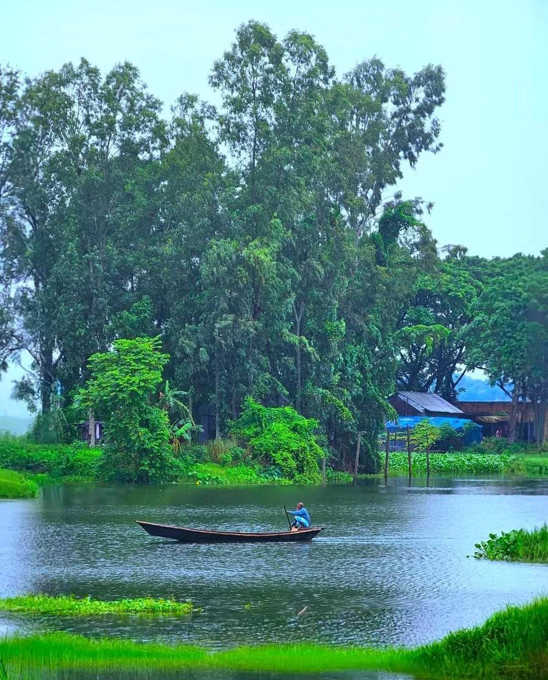 नीरसता's image