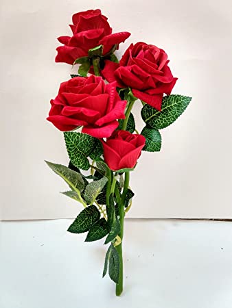 ख्वाब's image