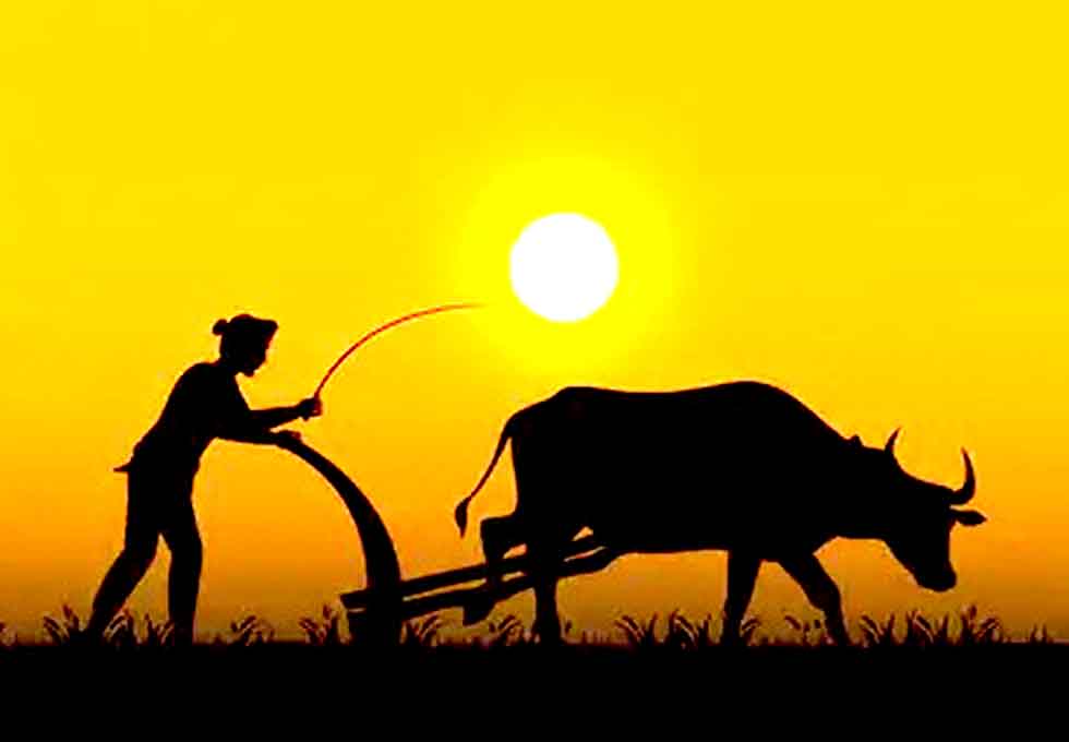 परिश्रमी's image