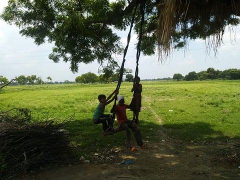 कशिश's image