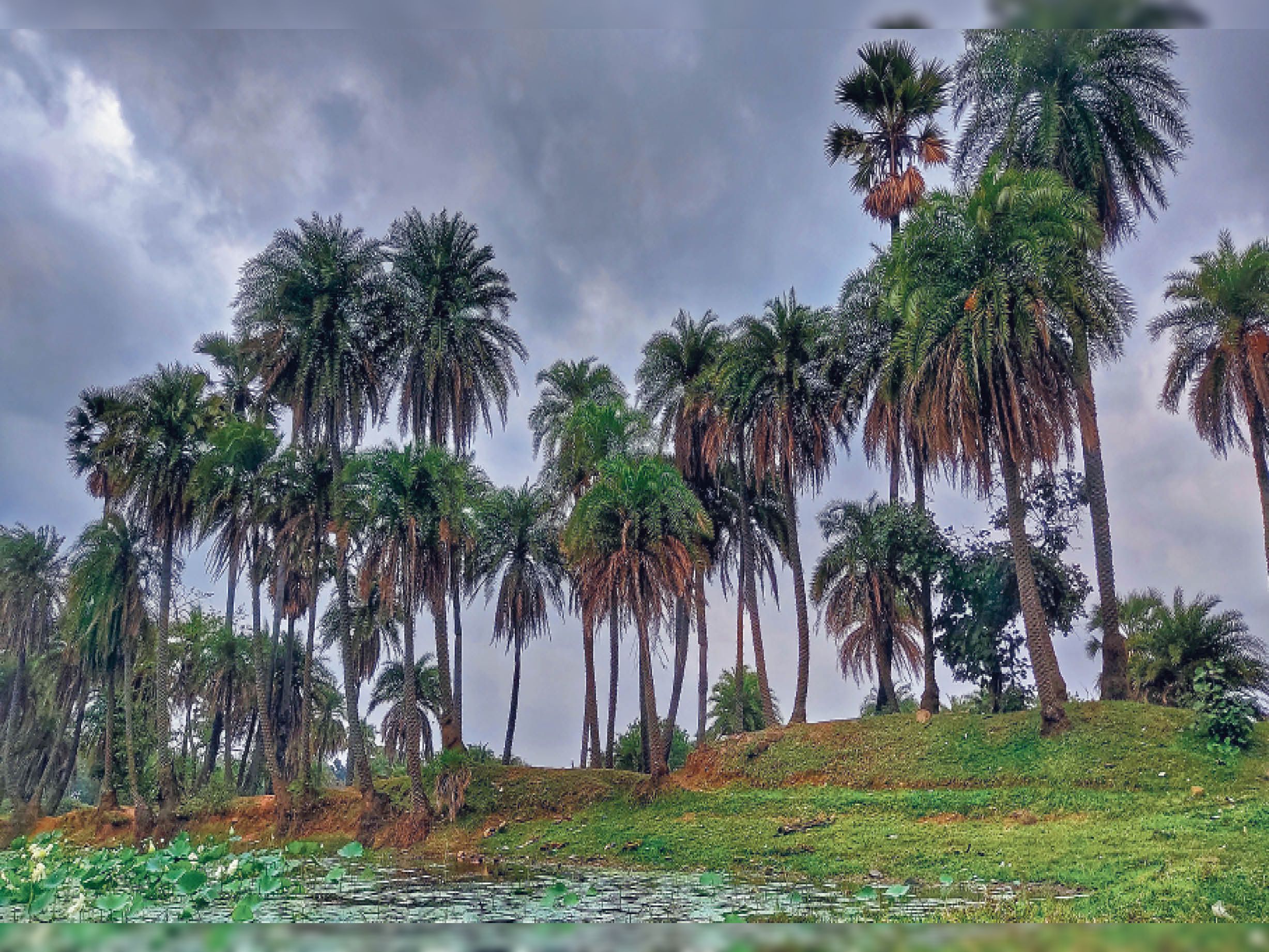 हम तुम's image