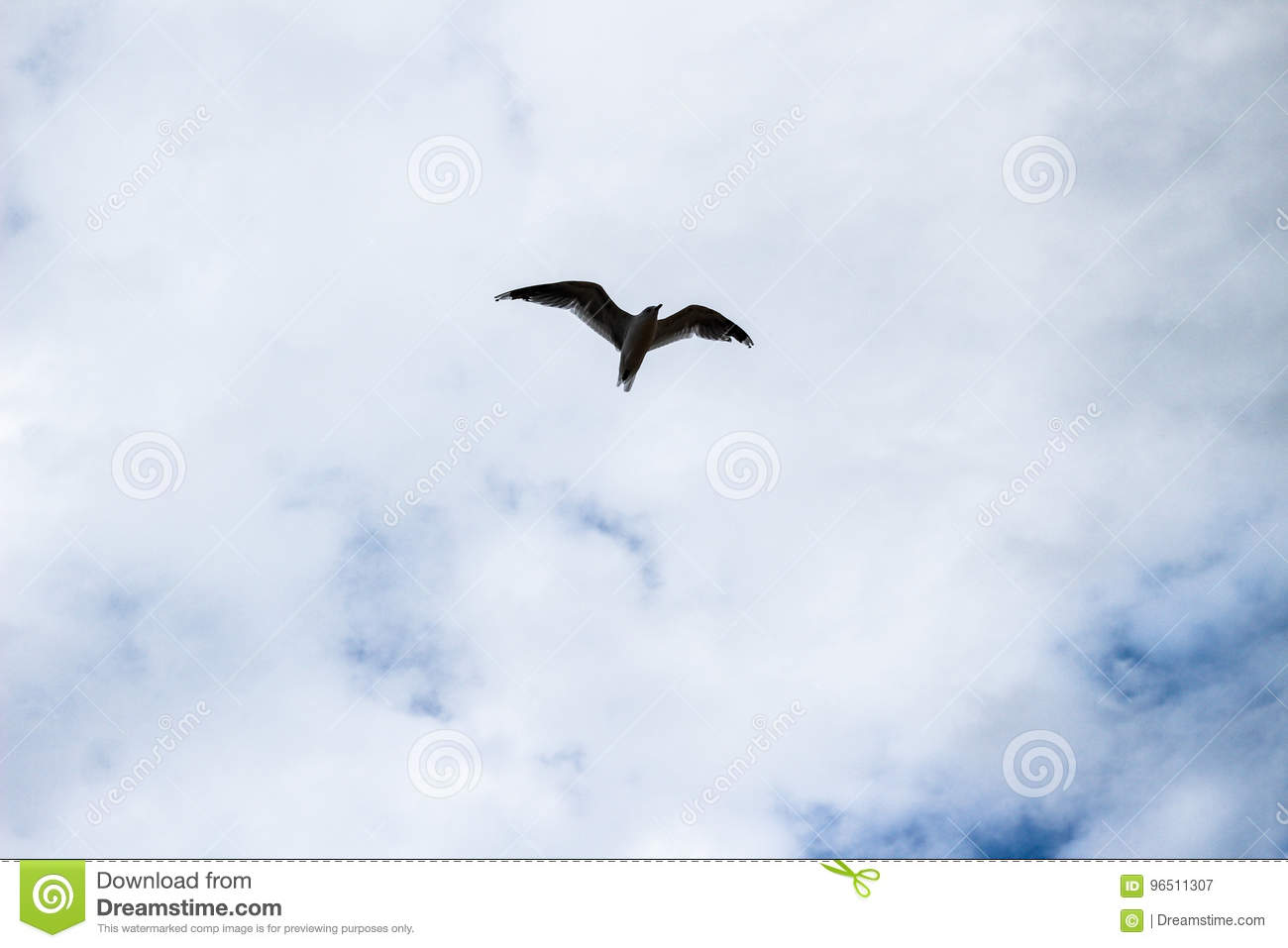 बावरा मन's image