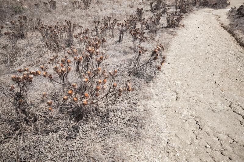 कुछ पल's image