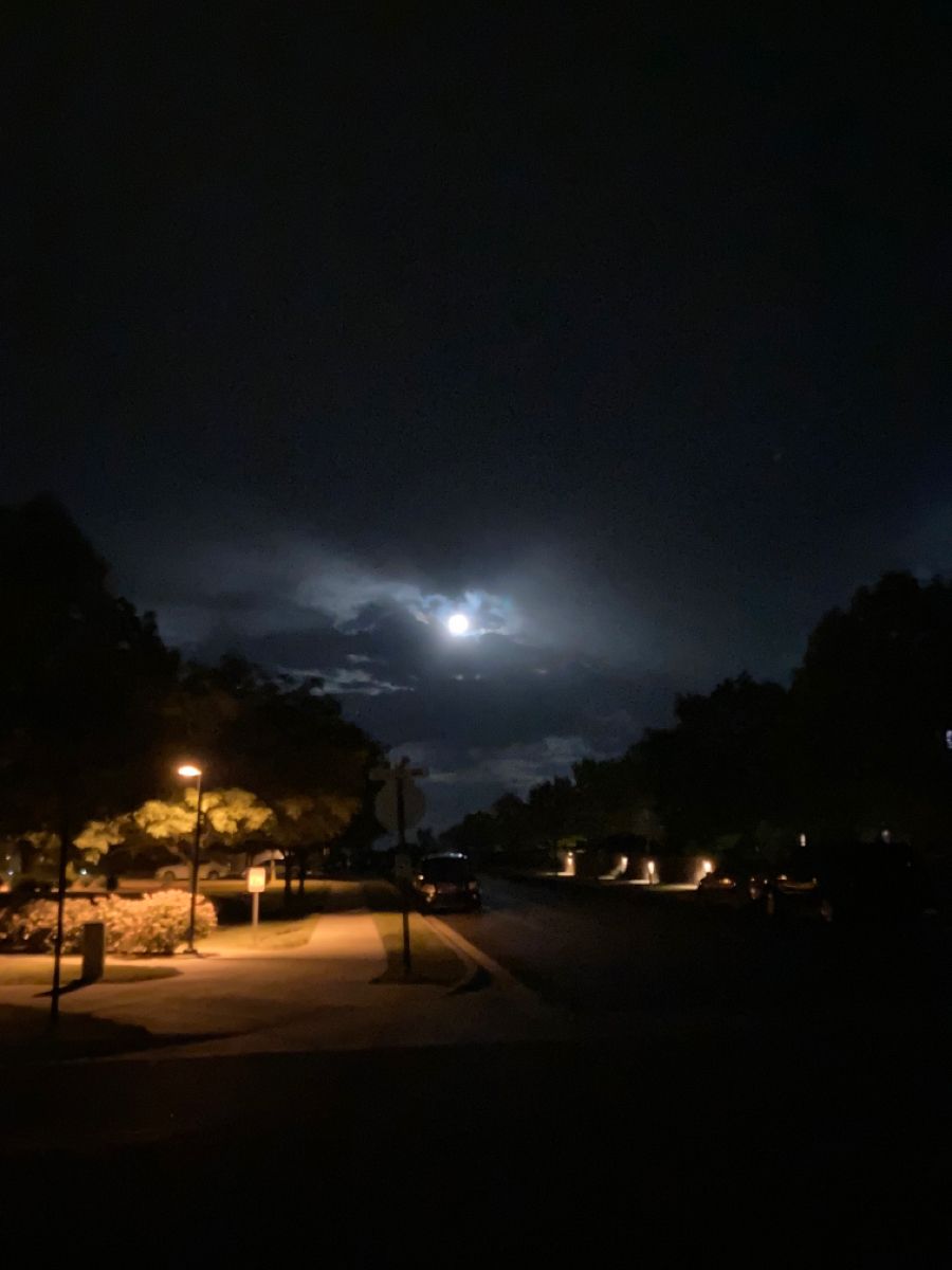 तन्हाईयाँ's image