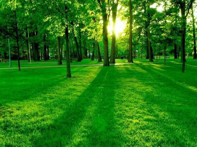 कृतार्थ's image