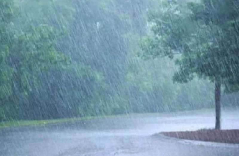 सावन's image