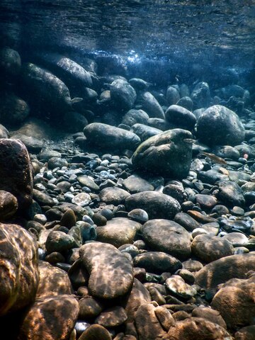 पाषाण's image