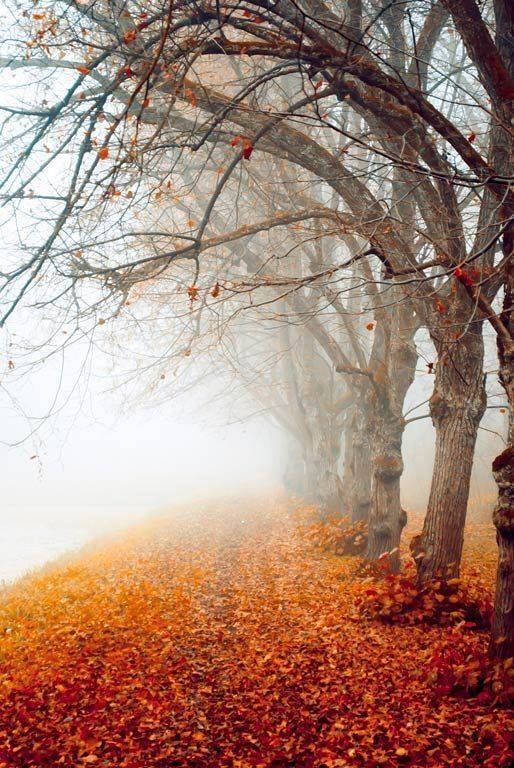 न जाने क्यों's image