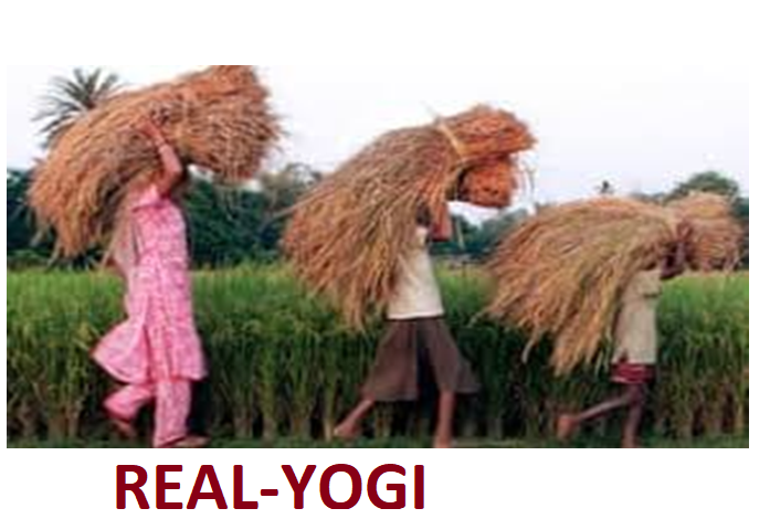 किसान योग