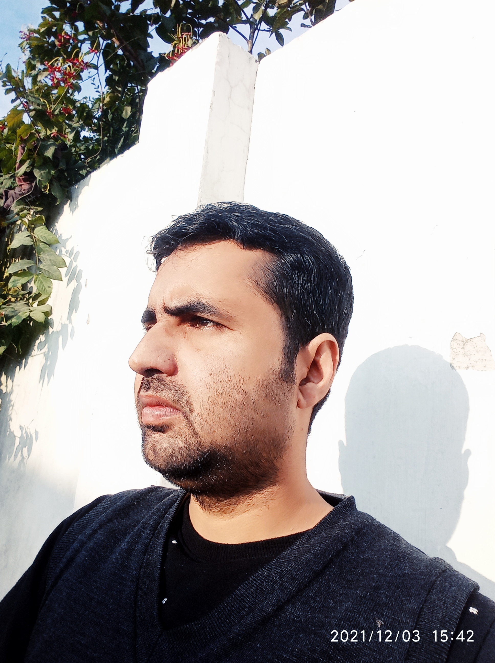 और बाकी हिरन तमाशा देखते हैं's image