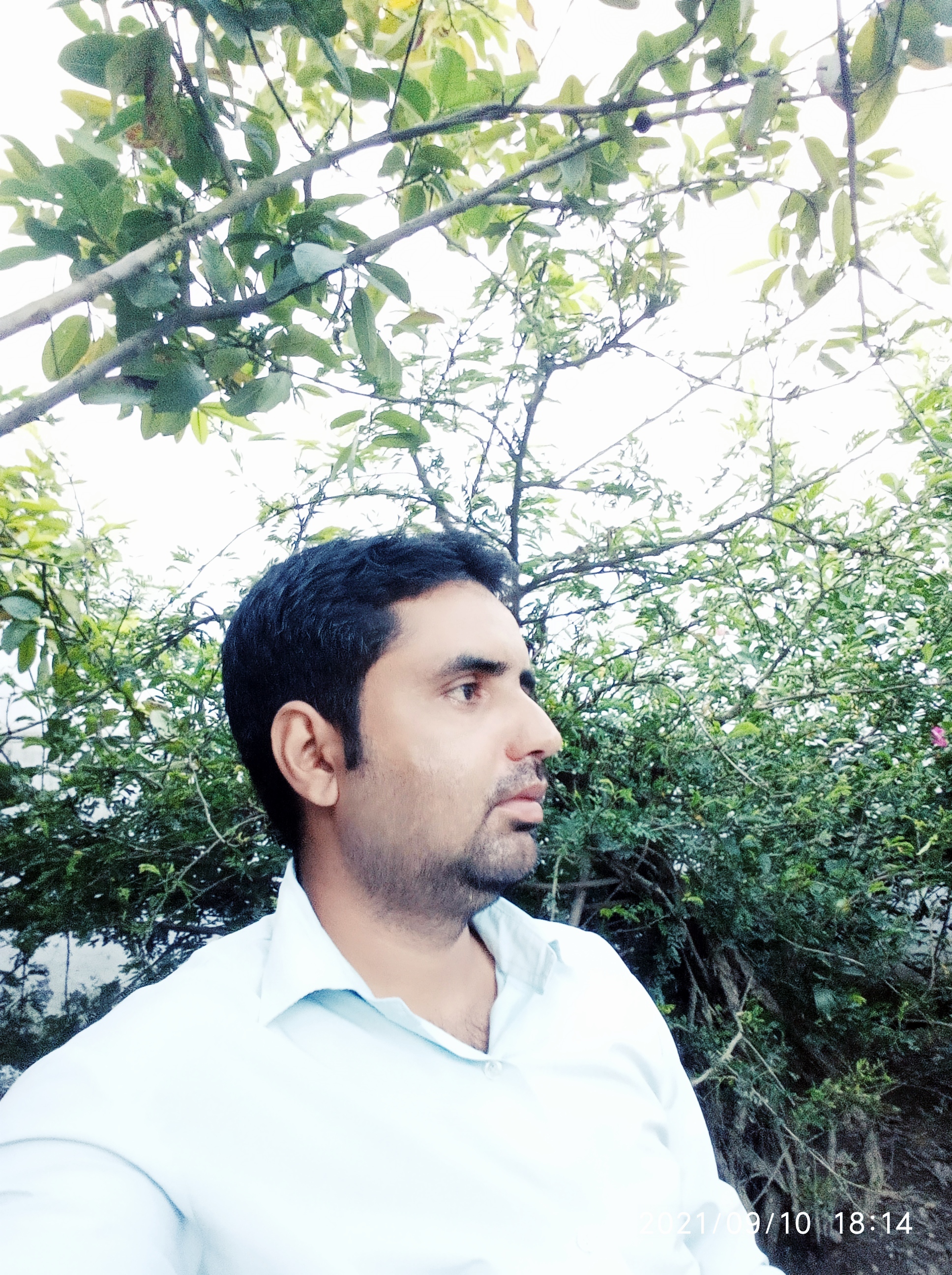 जलते इंसा चीख रहे थे बगावत थी सब ओर's image