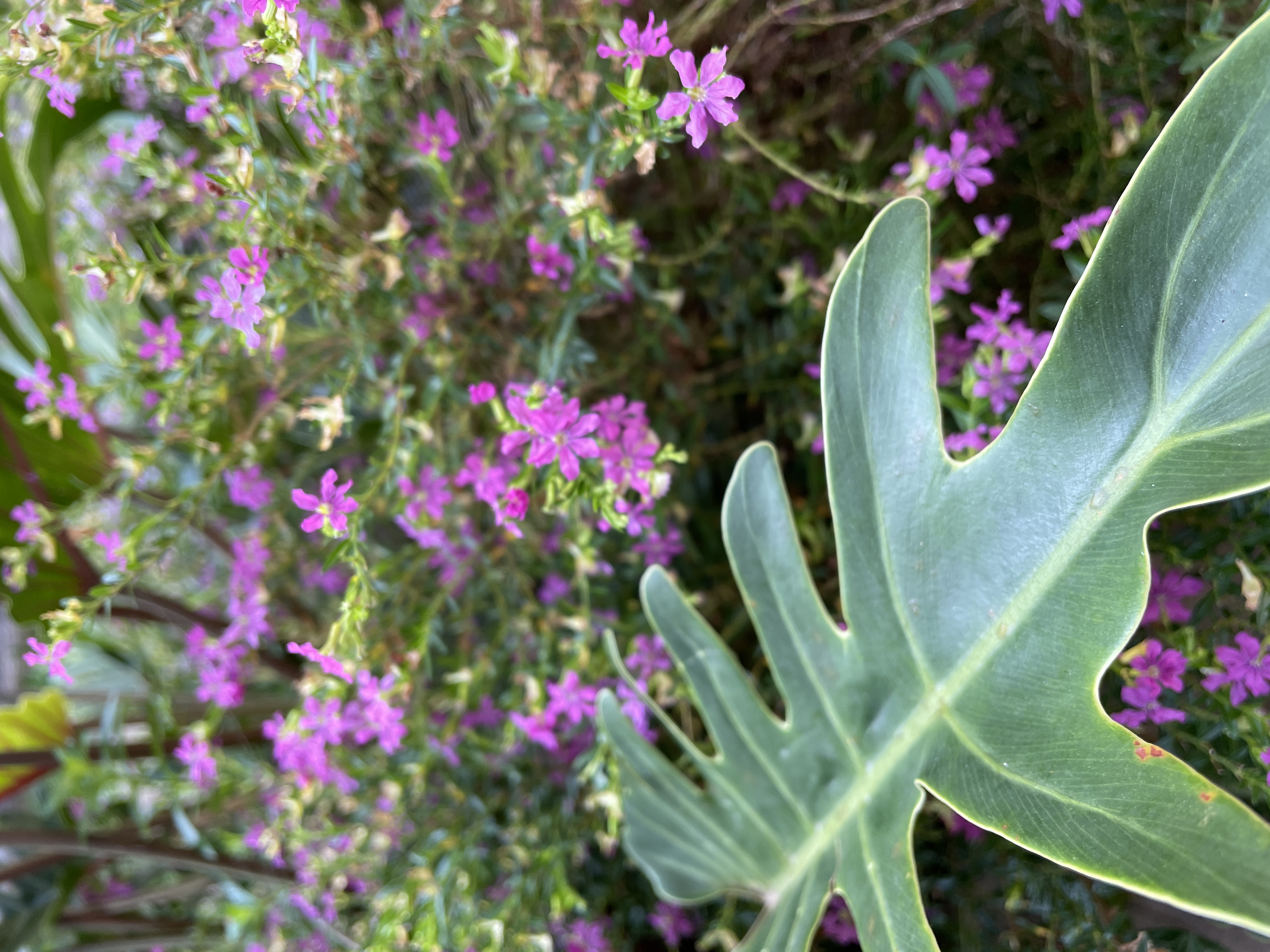 New year Short Story's image