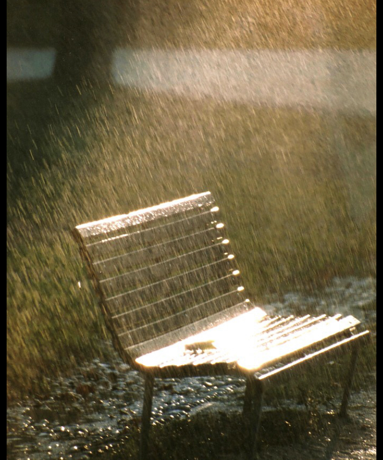 वजूद's image