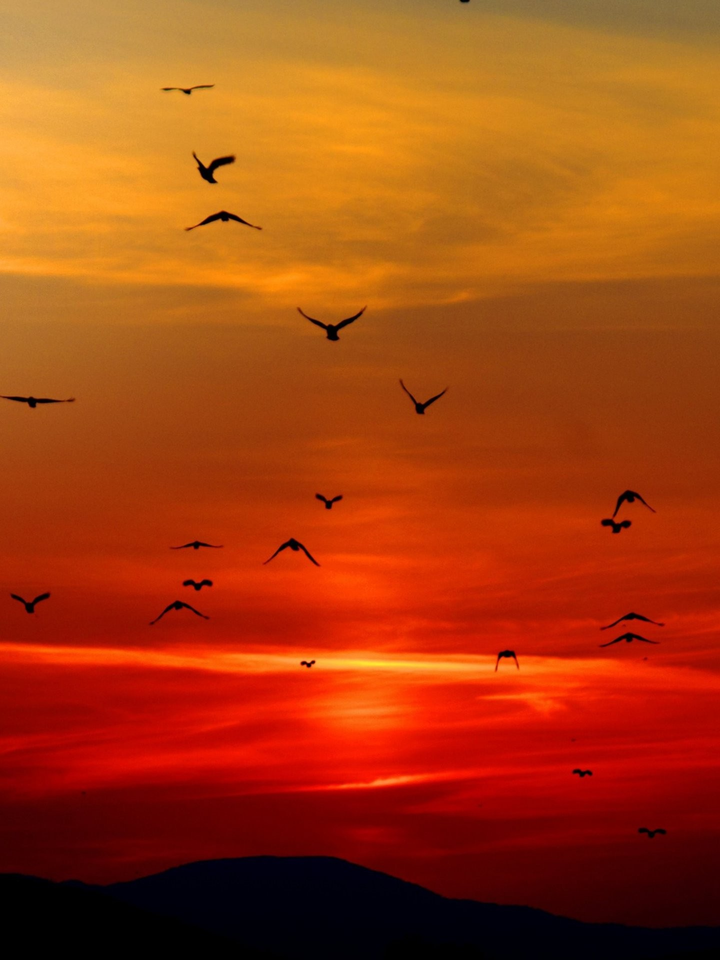 जो हूं सो हूं's image