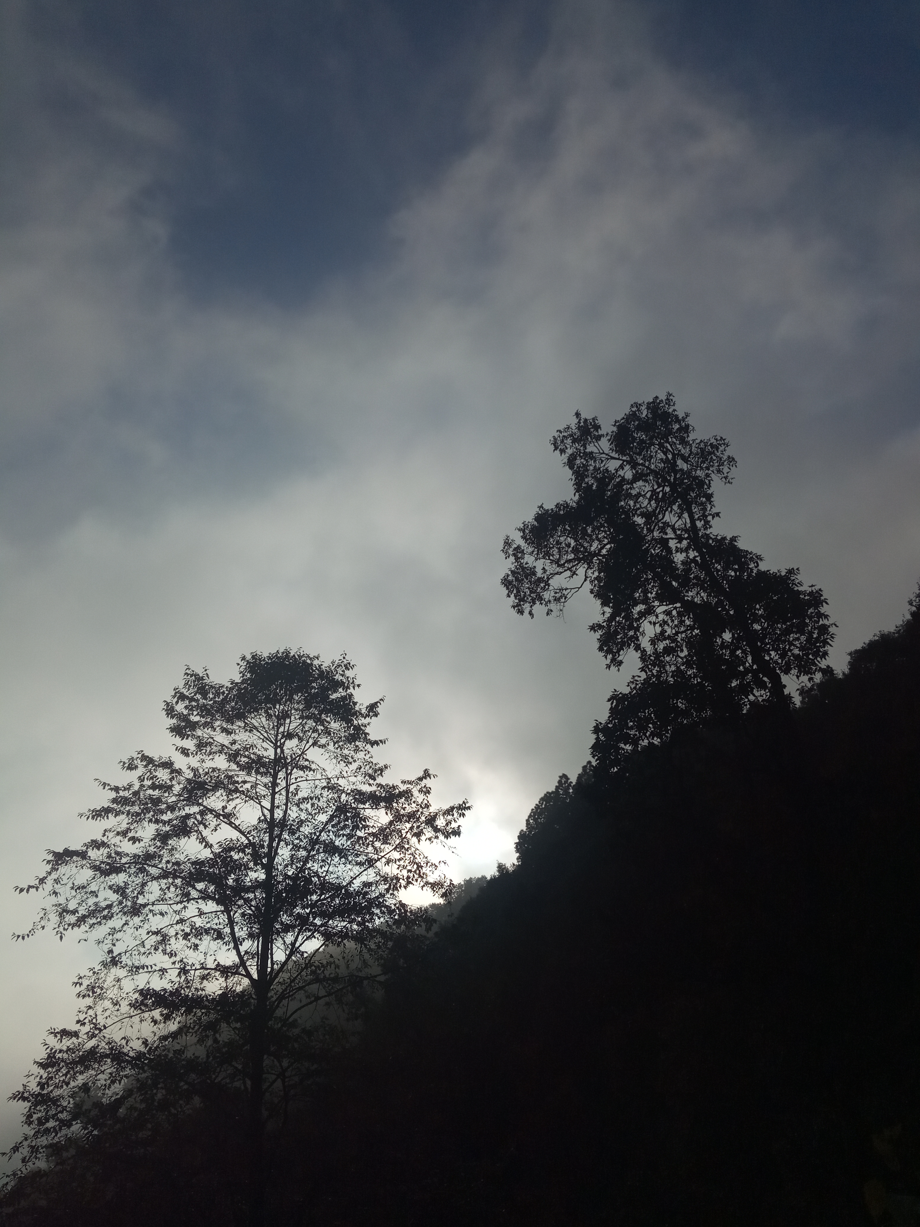 ताईजी's image